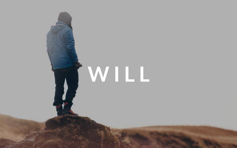 WILL